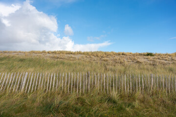Dune landscape and sky. Coastal dunes covered in dry grass stretch under a bright sky. The view captures natural beauty and simplicity.