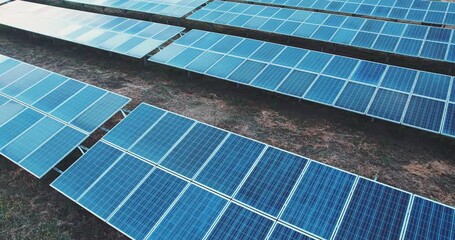 Aerial view of solar photovoltaic panels on a sunny day. power farm producing clean renewable ecological energy - Powered by Adobe