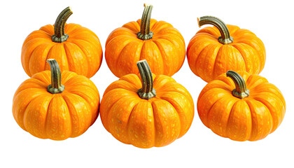 Six small pumpkins arranged in two rows
