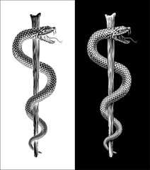 Rod of Asclepius Caduceus Medical Doctor Symbol