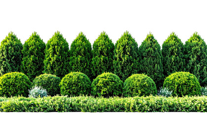Neat, trimmed hedges and trees form a crisp green border