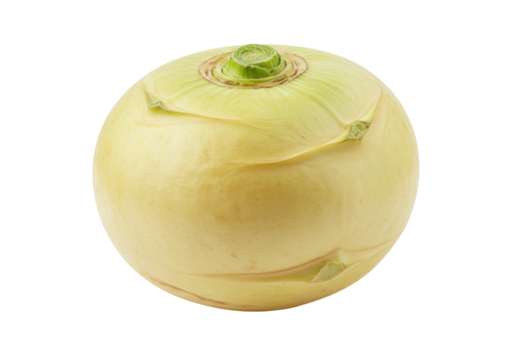 Isolated Golden Turnip Swede Rutabaga Vegetable for Cooking and Healthy Eating, Still Life