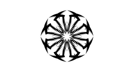 Symmetrical intricate design in black and white offering artistic expression and geometric harmony
