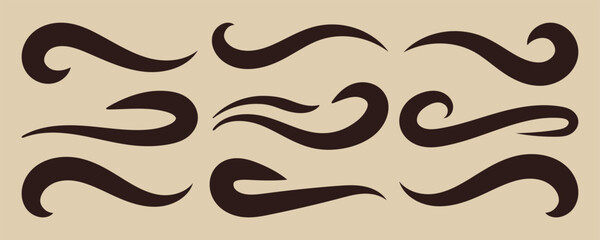 Hand-Drawn Swash Flourish Lines. Underline retro swoop wave line set. typography swoosh, swash tail. Curly strokes with squiggle tails. 
