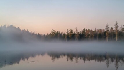 Heating mist bank by sunshine, lifting haze over forest lake, revealing pine forest reflection - Powered by Adobe