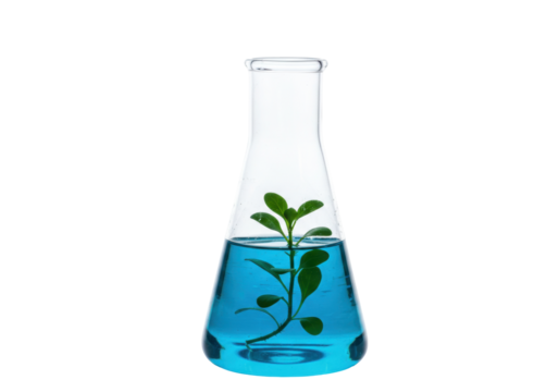 Isolated Erlenmeyer flask with blue liquid and a plant growing inside a lab experiment