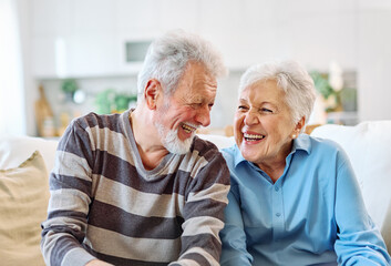Portrait of a lovely senior mature couple using a laptop together and having fun sitting on sofa at home
