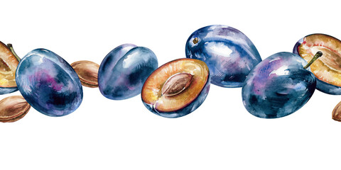 Plums, halves and whole purple fruits with pits hand drawn watercolor illustration. Isolated on white seamless border of ripe fresh juicy prunes for food, harvest, garden, rustic, farm design, banners