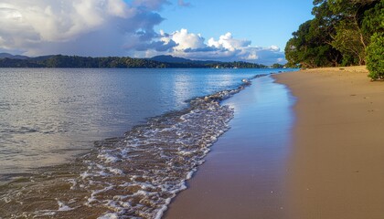 Gentle waves lap a sandy beach with lush green trees