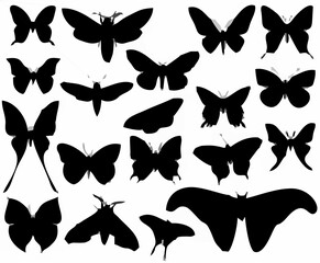 Butterfly Silhouettes Vector ...