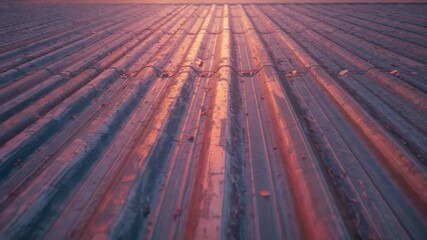 Sunrise light casting glow on corrugated roofing while camera slowly tracking to reveal dry leaves - Powered by Adobe