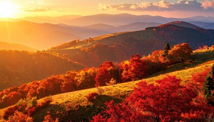 Golden Hour Sunlight Illuminates Rolling Hills Covered in Vibrant Autumn Trees During Fall Season