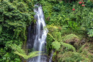 Small waterfall at Git Git waterfall in northern Bali. Crystal clear water cascades down cliff face, surrounded by lush tropical growth of the tropical rainforest. 
