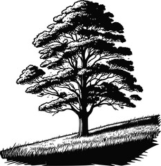 Detailed Pen and Ink Drawing of a Large Deciduous Tree on a Grassy Hillside