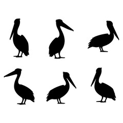 Obraz premium Pelican bird black silhouette, bird vector art, vector of Pelican bird standing isolated on white background
