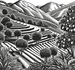 Terraced Farmland With Fruit Trees And Mountains In The Background Woodcut Style
