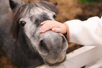 Naklejka premium Equine assisted therapy. Little boy stroking beautiful pony in countryside, closeup. Lovely domesticated pet