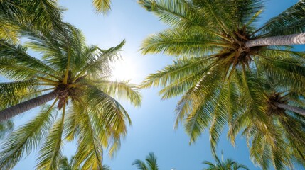 Sun peeking through tropical palm tree leaves against a clear blue sky. Summer vacation and holiday travel concept for background.