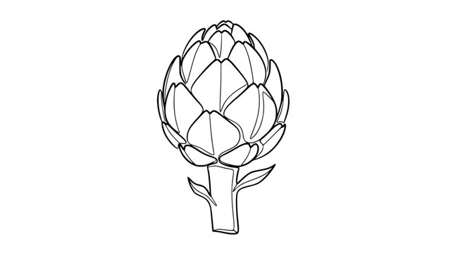 Continuous line art of an artichoke minimalist vegetable outline design