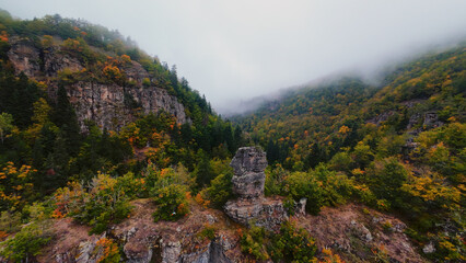 Misty mountain forest with Ostra Skala rock near Dorkovo in the Rhodope Mountains, Bulgaria