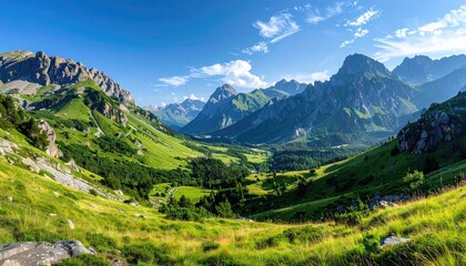 Vibrant Green Mountain Valley Under a Clear Blue Sky with Sunlit Peaks and Wildflowers in the Foreground