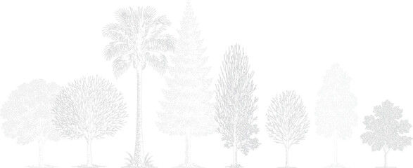 Collection of diverse trees depicted as line art illustrations with varying foliage and trunk structures against a white background. Architectural Drawings