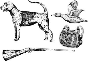 Vector elements of traditional English horse hunting. Accessories for hunting