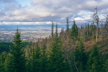 View of Grythenholmsvarden at the northern tip of the Østhøgda Hill, part of the Totenåsen Hills, Norway.