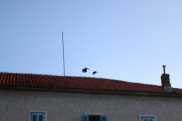 Traditional Mediterranean architecture in Split, Croatia.