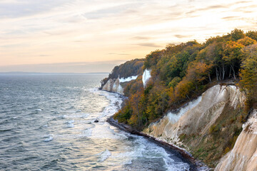 Autumn chalk cliffs over the sea at soft sunset. Baltic coast, golden forest.