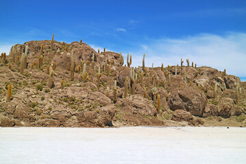 Incredible Rocky Outcrop in the Middle of Uyuni Salt Flats Known as Isla del Pescado or Isla Incahuasi with Uncountable Giant Cactus Plants, Bolivia, South America