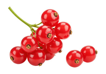 Isolated bunch of vibrant red currant berries with a sprig on a clean background.