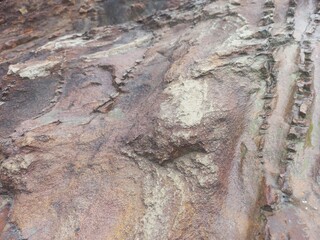 Sediment stone with unique texture that experiencing erosion 