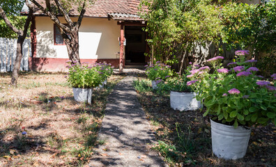Fototapeta premium Traditional old country house with green garden. Beautiful country yard with green grass, green trees and flower pots in spring or summer season. Picturesque rustic landscape