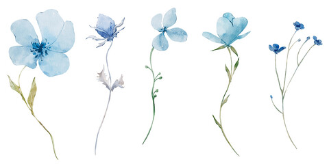 Watercolor hand drawn set of botanical elements. Winter frozen flowers and plants, dry plants