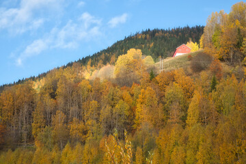 Colorful autumn landscape with hills, forest and red house under blue sky