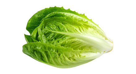 Fresh green lettuce leaf isolated on transparent background for healthy nutrition