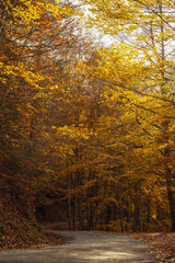 Autumn season in Route of the Waterfalls of Puente Ra, Sierra Cebollera Natural Park, Cameros, La Rioja, Spain
