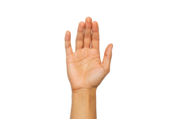 Isolated human hand is open, palm forward, fingers extended, indicating stop or five items