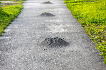 Numerous frost heave on asphalt surface. Damage in the asphalt surface of sidewalk is like a volcano crater or anthill