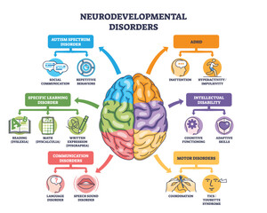 Neurodevelopmental disorders outline with a central brain linking autism, ADHD, learning and communication issues, key objects, brain, arrows, icons. Outline diagram