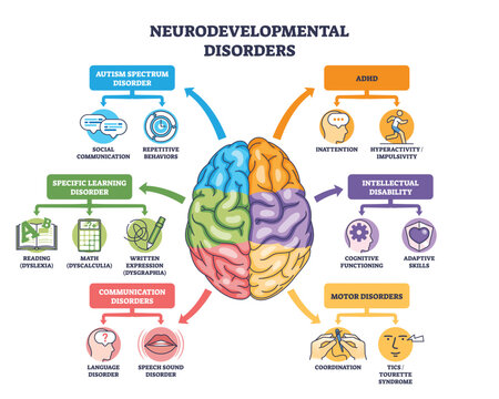 Neurodevelopmental disorders outline with a central brain linking autism, ADHD, learning and communication issues, key objects, brain, arrows, icons. Outline diagram