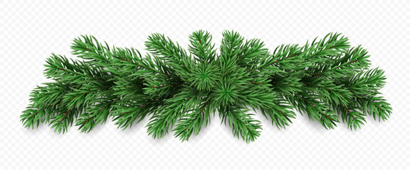 Vector realistic pine tree branches isolated on a transparent background. Holiday Christmas tree garland for winter decoration banner, poster, greeting card.