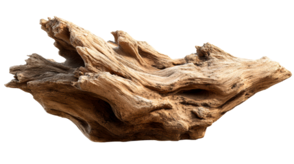 Weathered Gnarly Wood Fragment with Organic Texture