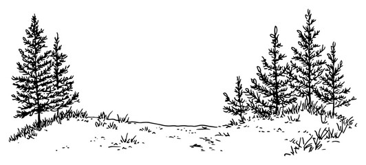 Fototapeta premium Winter Pine Tree Landscape Hand Drawn Forest Scene Vector Sketch