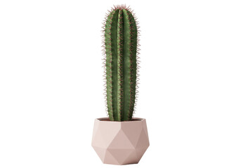 Isolated cactus plant in a pink pot, vibrant green succulent in decorative container © Agata