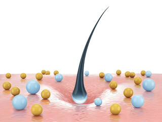 Human hair follicle on skin with surrounding particles representing treatment or growth isolated on transparent background