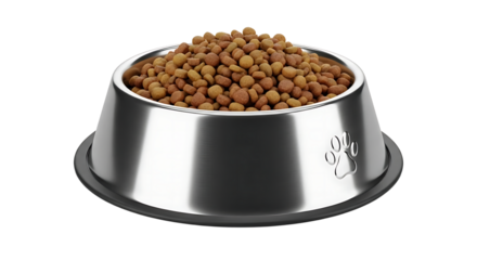 A gleaming stainless steel pet food bowl overflowing with dry kibble presented against a stark black background symbolizing healthy canine nutrition and mealtime preparation