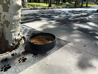 Bowl of food for street cats and dogs on city sidewalk in Istanbul business district