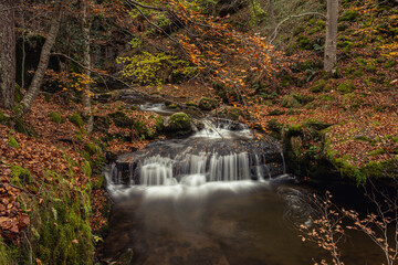 Obraz premium Autumn season in Route of the Waterfalls of Puente Ra, Sierra Cebollera Natural Park, Cameros, La Rioja, Spain